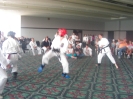 American Okinawan Karate Association