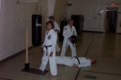 Chitora Dojo Advanced Class 2002