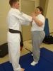 Hanshi Mady Seminar Nov. 2009