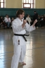 Picture_29