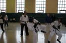 Picture_44