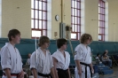 Picture_49