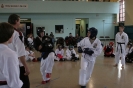 Picture_6