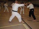 Picture_28