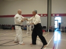 Peter Carbone Ryukyu Kobudo Seminar January 2008