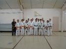 Peter Carbone Ryukyu Kobudo Seminar September 2008