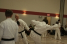 Picture_16